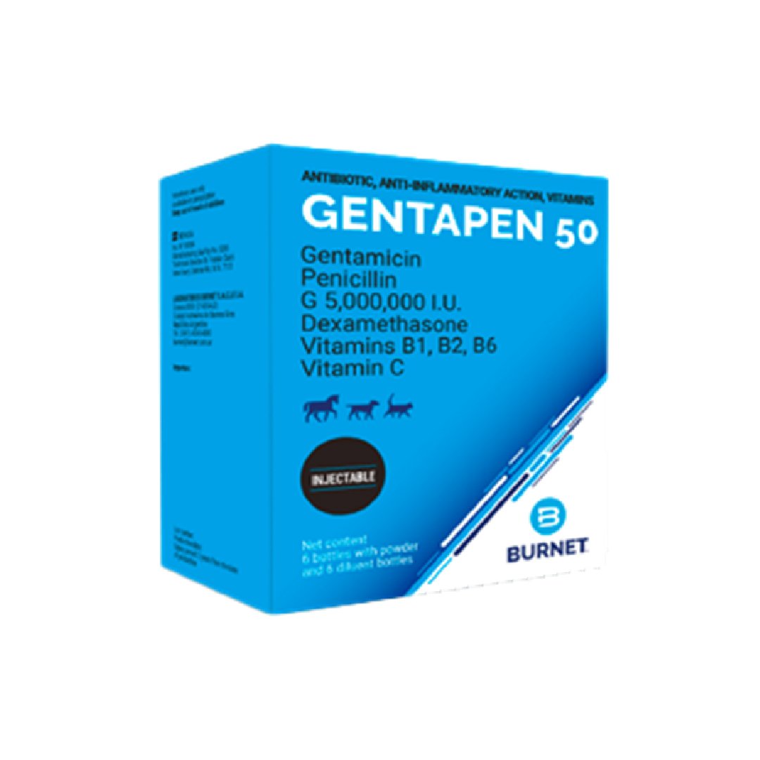 Gentapen 50 (Polvo)