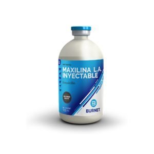 Maxilina la. (Antibiótico Inyectable)